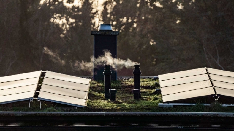 Homes equipped with rooftop solar panels in a suburban neighborhood